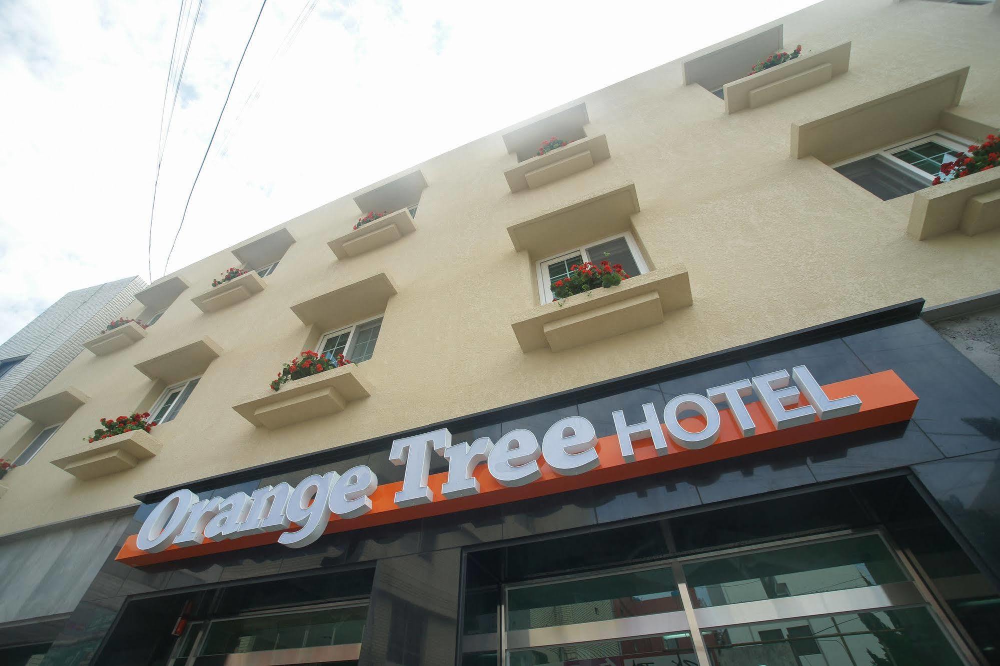 橙树酒店 济州市 外观 照片